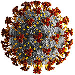 Detailierter Corona Virus auf weißem Untergrund - Wuhan Virus - ©peterschreiber.media - stock.adobe.com Detailierter Corona Virus auf weißem Untergrund - Wuhan Virus - ©peterschreiber.media - stock.adobe.com